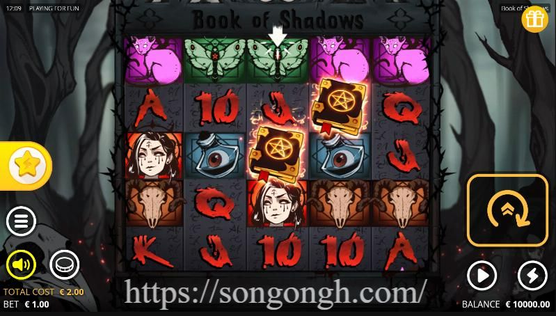 Read more about the article Book of Shadows: Slot Sihir Misterius dari Nolimit City